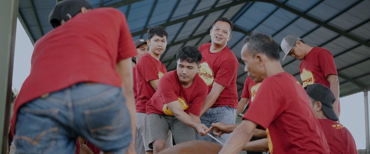 pemotongan-hewan-qurban-karyawan.jpg