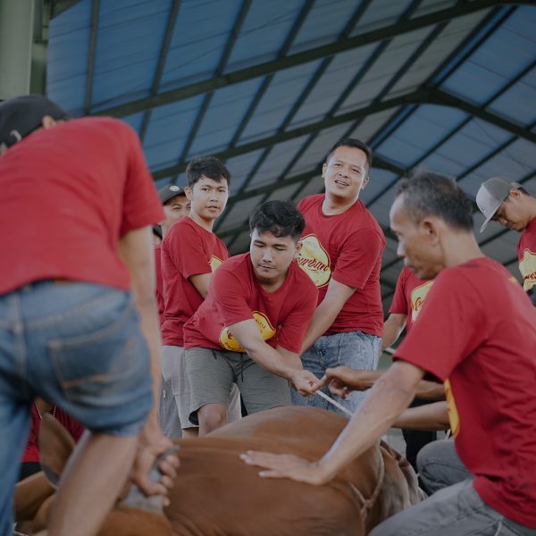 pemotongan-hewan-qurban-karyawan.jpg